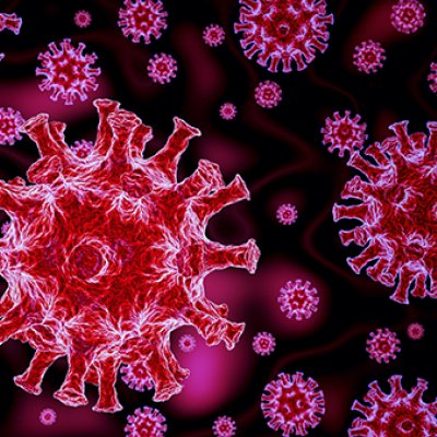 A graphic showing pink virus cells against a dark background.